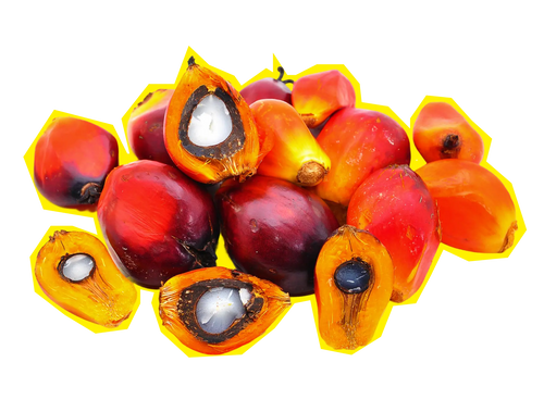 Palm oil