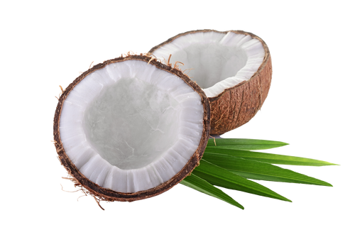 Kokosnuss