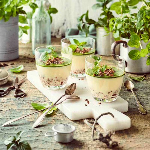 Minz-Panna Cotta