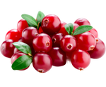 Cranberries