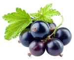 Currants