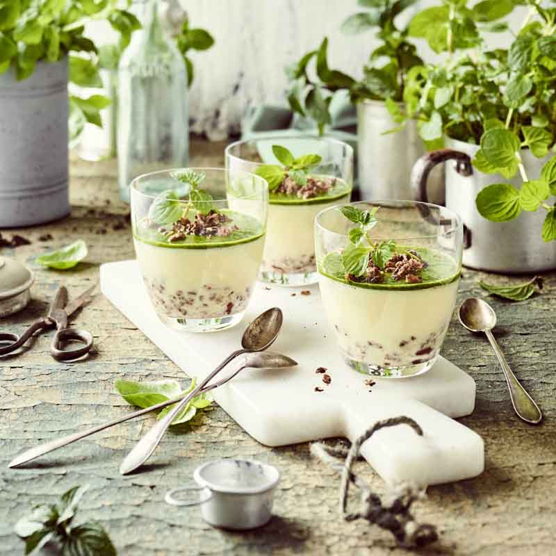 Minz-Panna Cotta