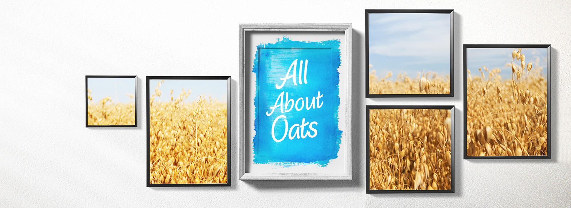 Pictures with oat fields